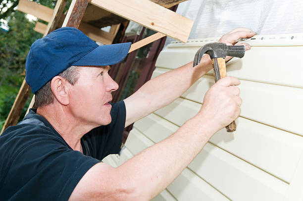 Best Carpet Removal and Disposal  in Webberville, MI