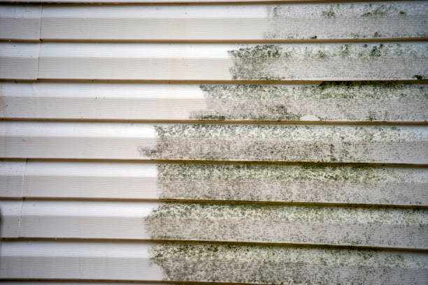 Best Construction Debris Removal  in Webberville, MI